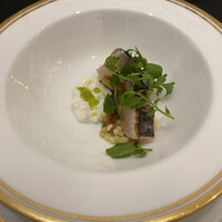 クイントカント - 鰆がおいしい