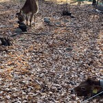 ミルグリーン - 料理写真:
