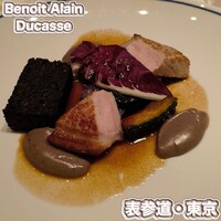 Benoit Alain Ducasse - 