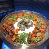 筑紫樓 銀座店 - 