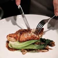 THE COSMOPOLITAN GRILL BAR TERRACE - 