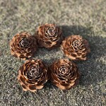 オリンピックナショナルゴルフクラブ WEST レストラン - 