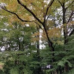 ヤビツ峠レストハウス - 