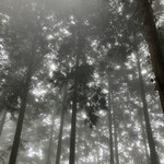 ヤビツ峠レストハウス - 