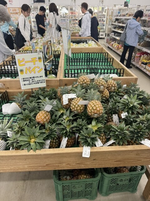 ファーマーズマーケットやえやま ゆらてぃく市場 - 石垣市/その他