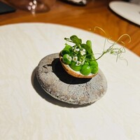 ル スプートニク - 