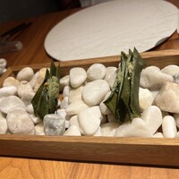 ル スプートニク - 