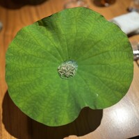 ル スプートニク - 