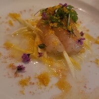 カーザ ヴィニタリア - 