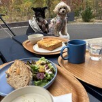 BLUE SIX COFFEE - テラス席