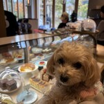 BLUE SIX COFFEE - 店内