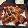 陽菜鰻