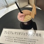 プレミアム マリオジェラテリア - 