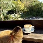 ウィリアムズジェラート - 