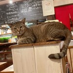 あおぞら珈琲店 - 