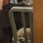 マザームーンカフェ - 