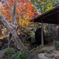 とうふ屋うかい 鷺沼店 - 