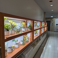 とうふ屋うかい 鷺沼店 - 