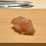 鮨 めい乃 - ボタンエビ