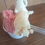 gelateria frutti - 