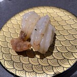 魚廣 - ガスエビ