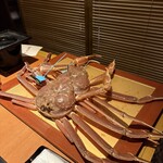 かがり吉祥亭 - 