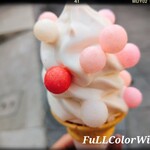 中野うどん学校 - 