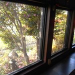 そば繁 - 入口側フロア　席から見える庭