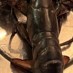 ウルフギャング・ステーキハウス - ロブスター3ポンド(調理前)