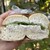 BEST BAGEL - 料理写真: