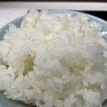 新橋ニューともちん - ライス大