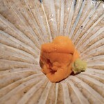 乙女寿司 - 北海道昆布森馬糞ウニ