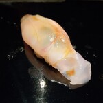 乙女寿司 - 富山湾クエ