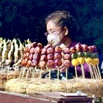 Hitoyasumi - Grilled Ayu and Mitarashi Dango with Miso