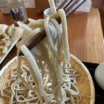 そば処まるた - 【2025.11.24(月)】天ざるそばの麺