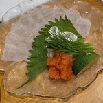 鮨 ひでぞう - とらふぐてっさ