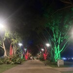 Salt House - 街の雰囲気