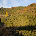 Ramen FeeL - 褐色に染まってます