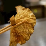 本格広島お好み焼き たにもと - 