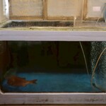 すしバリュー - 