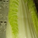 まいばすけっと - 料理写真: