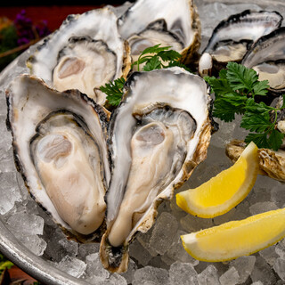 ペスカデリア_0