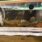 旬鮮居食屋 知花冷凍食品 - 