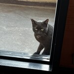 RISTORANTE IL NODO - 