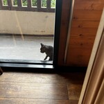 RISTORANTE IL NODO - 