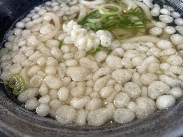 はなまるうどん イオンモール天童店 - 天童南（うどん）の写真