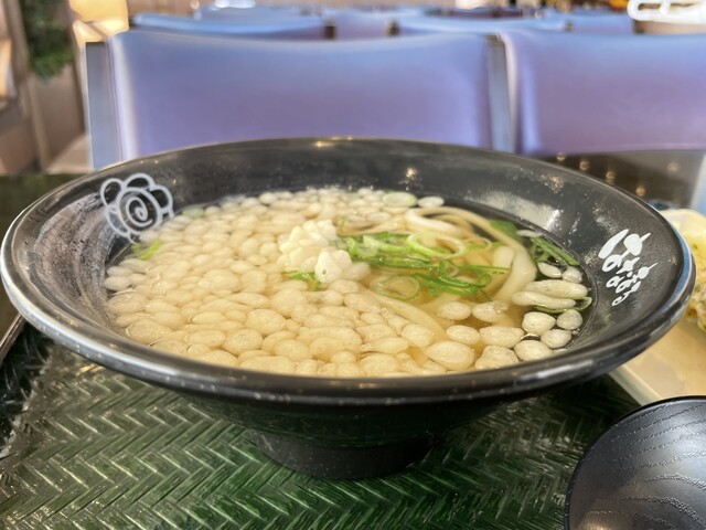 はなまるうどん イオンモール天童店 - 天童南（うどん）の写真