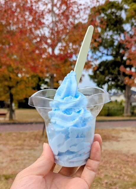 アリスのお茶会 （Alice's Tea Party） - 城野（JR）/ソフトクリーム