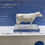 発酵 CALPIS PARLOR - 