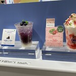 発酵 CALPIS PARLOR - 